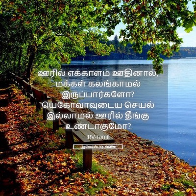 Picture 05 - ஆமோஸ் 3:6 TAMIRV - ஊரில் எக்காளம் - Bible Verse Picture