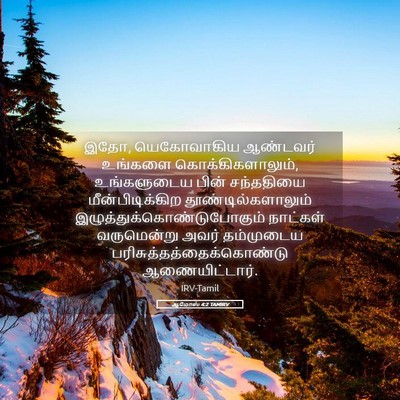 Picture 05 - ஆமோஸ் 4:2 TAMIRV - இதோ, யெகோவாகிய - Bible Verse Picture