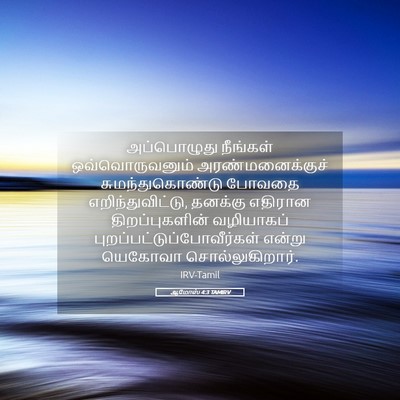 Picture 05 - ஆமோஸ் 4:3 TAMIRV - அப்பொழுது நீங்கள் - Bible Verse Picture