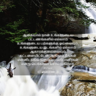 Picture 05 - ஆமோஸ் 4:6 TAMIRV - ஆகையால் நான் - Bible Verse Picture
