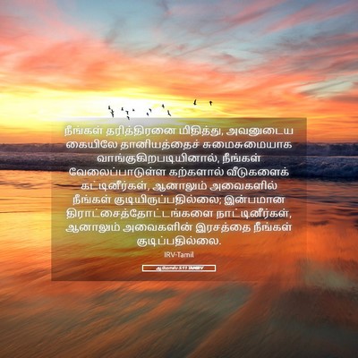Picture 05 - ஆமோஸ் 5:11 TAMIRV - நீங்கள் - Bible Verse Picture