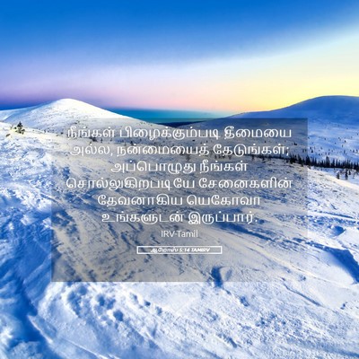 Picture 05 - ஆமோஸ் 5:14 TAMIRV - நீங்கள் - Bible Verse Picture