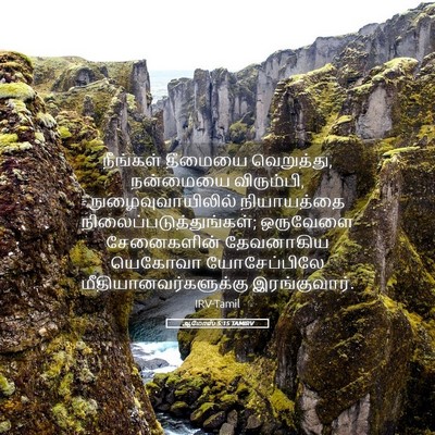 Picture 05 - ஆமோஸ் 5:15 TAMIRV - நீங்கள் தீமையை - Bible Verse Picture