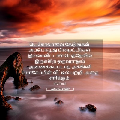 Picture 05 - ஆமோஸ் 5:6 TAMIRV - யெகோவாவை - Bible Verse Picture