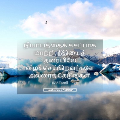 Picture 05 - ஆமோஸ் 5:7 TAMIRV - நியாயத்தைக் - Bible Verse Picture