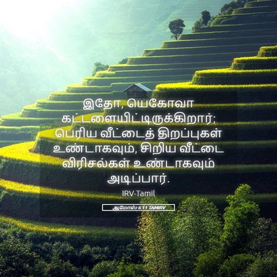 Picture 05 - ஆமோஸ் 6:11 TAMIRV - இதோ, யெகோவா - Bible Verse Picture