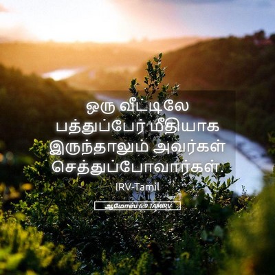 Picture 05 - ஆமோஸ் 6:9 TAMIRV - ஒரு வீட்டிலே - Bible Verse Picture