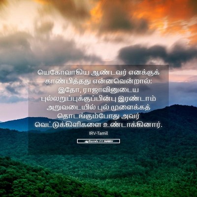 Picture 05 - ஆமோஸ் 7:1 TAMIRV - யெகோவாகிய ஆண்டவர் - Bible Verse Picture