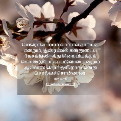 Picture 05 - ஆமோஸ் 7:11 TAMIRV - யெரொபெயாம் வாளால் - Bible Verse Picture