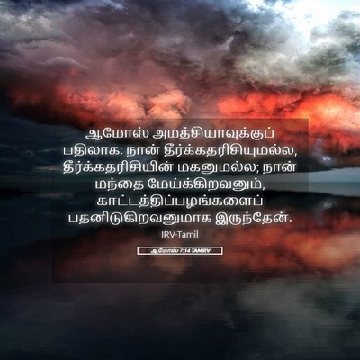 Picture 05 - ஆமோஸ் 7:14 TAMIRV - ஆமோஸ் - Bible Verse Picture