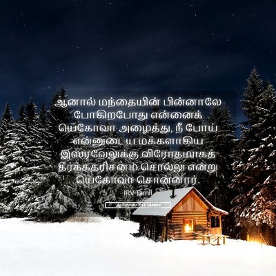Picture 05 - ஆமோஸ் 7:15 TAMIRV - ஆனால் மந்தையின் - Bible Verse Picture