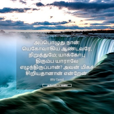 Picture 05 - ஆமோஸ் 7:5 TAMIRV - அப்பொழுது நான்: - Bible Verse Picture