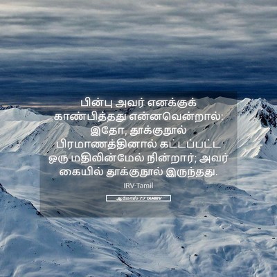 Picture 05 - ஆமோஸ் 7:7 TAMIRV - பின்பு அவர் - Bible Verse Picture