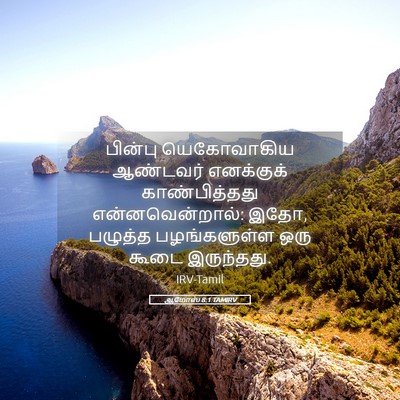 Picture 05 - ஆமோஸ் 8:1 TAMIRV - பின்பு யெகோவாகிய - Bible Verse Picture