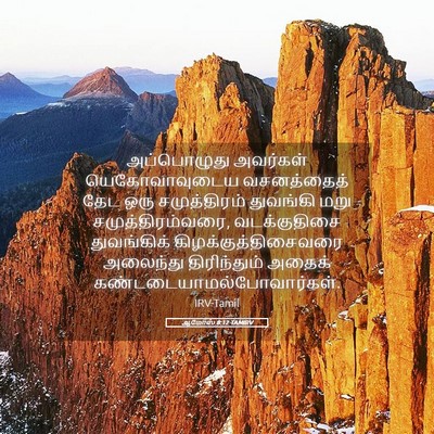 Picture 05 - ஆமோஸ் 8:12 TAMIRV - அப்பொழுது அவர்கள் - Bible Verse Picture