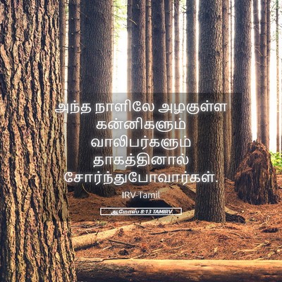 Picture 05 - ஆமோஸ் 8:13 TAMIRV - அந்த நாளிலே - Bible Verse Picture
