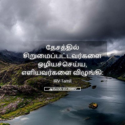 Picture 05 - ஆமோஸ் 8:4 TAMIRV - தேசத்தில் - Bible Verse Picture