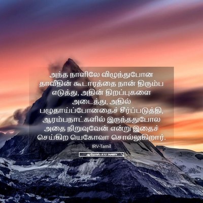Picture 05 - ஆமோஸ் 9:12 TAMIRV - அந்த நாளிலே - Bible Verse Picture