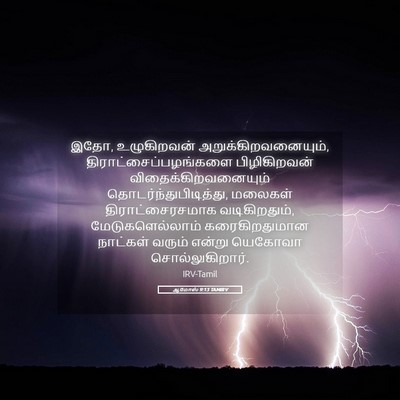 Picture 05 - ஆமோஸ் 9:13 TAMIRV - இதோ, உழுகிறவன் - Bible Verse Picture