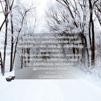 Picture 05 - ஆமோஸ் 9:2 TAMIRV - அவர்கள் - Bible Verse Picture