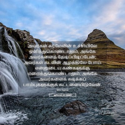 Picture 05 - ஆமோஸ் 9:3 TAMIRV - அவர்கள் கர்மேலின் - Bible Verse Picture