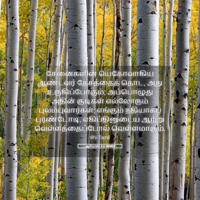 Picture 05 - ஆமோஸ் 9:5 TAMIRV - சேனைகளின் - Bible Verse Picture