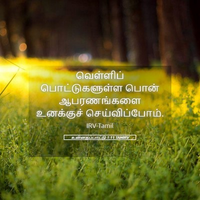 Picture 05 - உன்னதப்பாட்டு 1:11 TAMIRV - வெள்ளிப் - Bible Verse Picture