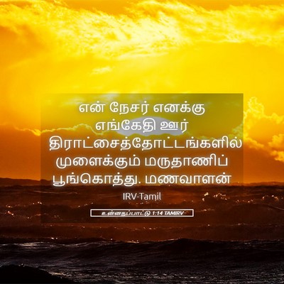 Picture 05 - உன்னதப்பாட்டு 1:14 TAMIRV - என் நேசர் எனக்கு - Bible Verse Picture
