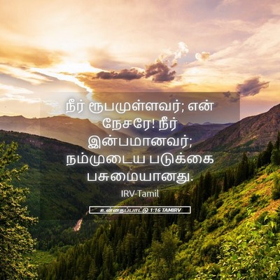 Picture 05 - உன்னதப்பாட்டு 1:16 TAMIRV - நீர் ரூபமுள்ளவர்; - Bible Verse Picture