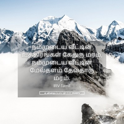 Picture 05 - உன்னதப்பாட்டு 1:17 TAMIRV - நம்முடைய வீட்டின் - Bible Verse Picture