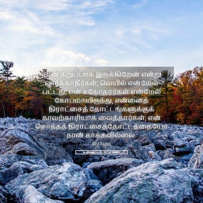 Picture 05 - உன்னதப்பாட்டு 1:6 TAMIRV - நான் கறுப்பாக - Bible Verse Picture