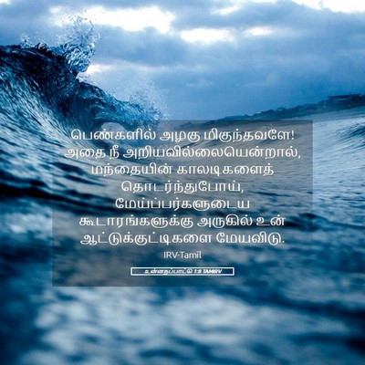 Picture 05 - உன்னதப்பாட்டு 1:8 TAMIRV - பெண்களில் அழகு - Bible Verse Picture