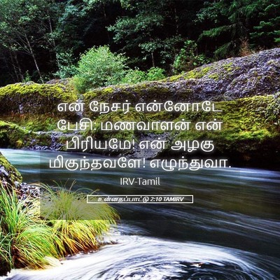 Picture 05 - உன்னதப்பாட்டு 2:10 TAMIRV - என் நேசர் என்னோடே - Bible Verse Picture