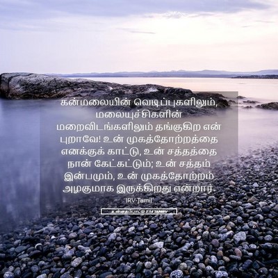 Picture 05 - உன்னதப்பாட்டு 2:14 TAMIRV - கன்மலையின் - Bible Verse Picture