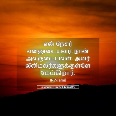 Picture 05 - உன்னதப்பாட்டு 2:16 TAMIRV - என் நேசர் - Bible Verse Picture