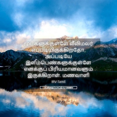 Picture 05 - உன்னதப்பாட்டு 2:2 TAMIRV - முட்களுக்குள்ளே - Bible Verse Picture