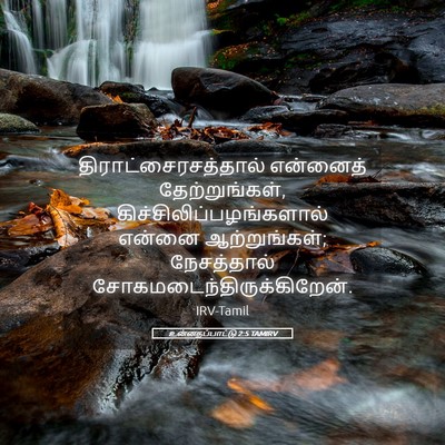 Picture 05 - உன்னதப்பாட்டு 2:5 TAMIRV - திராட்சைரசத்தால் - Bible Verse Picture