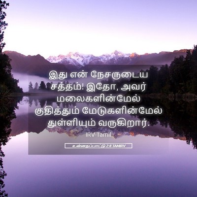 Picture 05 - உன்னதப்பாட்டு 2:8 TAMIRV - இது என் நேசருடைய - Bible Verse Picture
