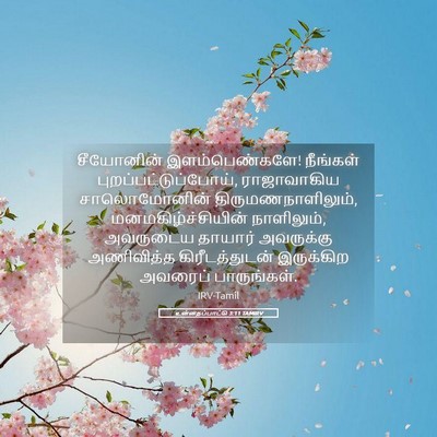Picture 05 - உன்னதப்பாட்டு 3:11 TAMIRV - சீயோனின் - Bible Verse Picture