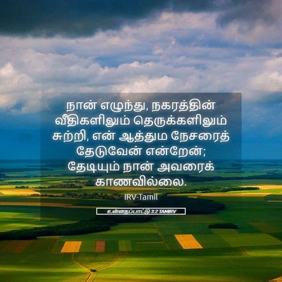 Picture 05 - உன்னதப்பாட்டு 3:2 TAMIRV - நான் எழுந்து, - Bible Verse Picture