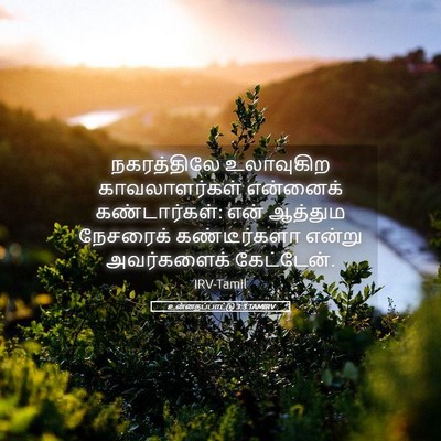 Picture 05 - உன்னதப்பாட்டு 3:3 TAMIRV - நகரத்திலே - Bible Verse Picture