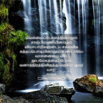 Picture 05 - உன்னதப்பாட்டு 3:6 TAMIRV -  - Bible Verse Picture