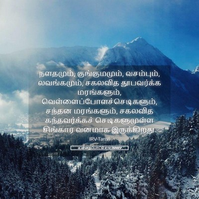 Picture 05 - உன்னதப்பாட்டு 4:14 TAMIRV - நளதமும், - Bible Verse Picture