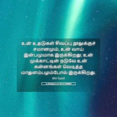 Picture 05 - உன்னதப்பாட்டு 4:3 TAMIRV - உன் உதடுகள் - Bible Verse Picture