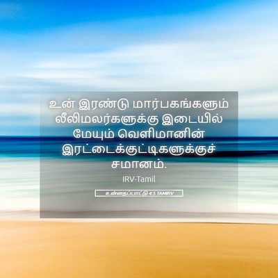 Picture 05 - உன்னதப்பாட்டு 4:5 TAMIRV - உன் இரண்டு - Bible Verse Picture