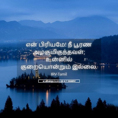Picture 05 - உன்னதப்பாட்டு 4:7 TAMIRV - என் பிரியமே! நீ - Bible Verse Picture