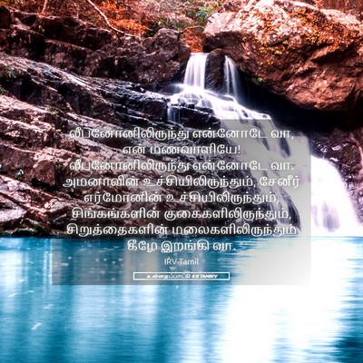 Picture 05 - உன்னதப்பாட்டு 4:8 TAMIRV - லீபனோனிலிருந்து - Bible Verse Picture