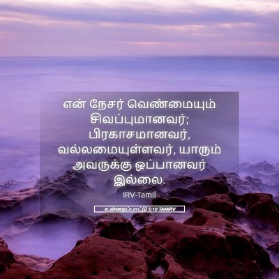 Picture 05 - உன்னதப்பாட்டு 5:10 TAMIRV - என் நேசர் - Bible Verse Picture