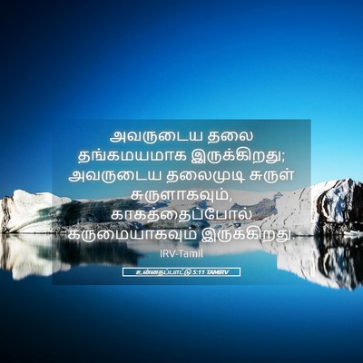 Picture 05 - உன்னதப்பாட்டு 5:11 TAMIRV - அவருடைய தலை - Bible Verse Picture