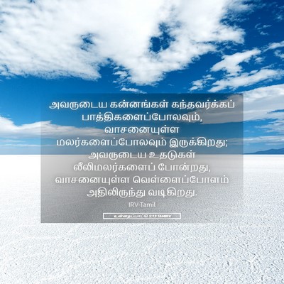 Picture 05 - உன்னதப்பாட்டு 5:13 TAMIRV - அவருடைய கன்னங்கள் - Bible Verse Picture